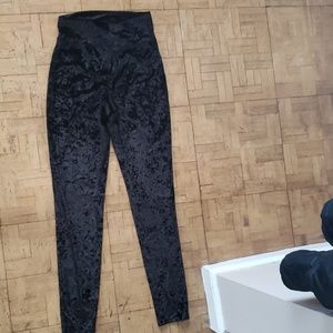 Express velour/velvet leggings